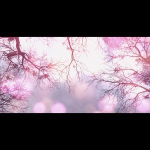 Meet your Posher, Beatriz